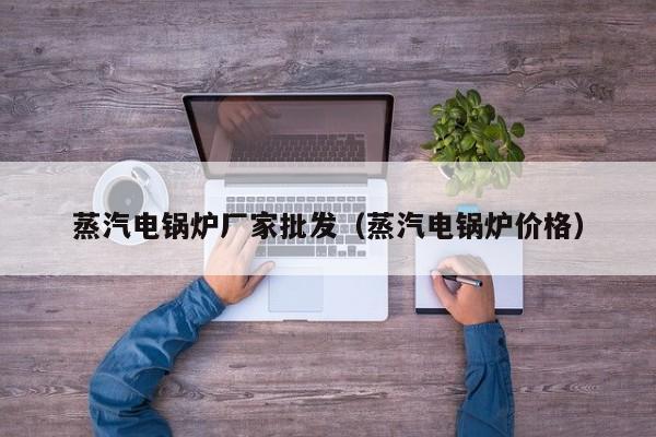 蒸汽電鍋爐廠(chǎng)家批發(fā)（蒸汽電鍋爐價(jià)格）