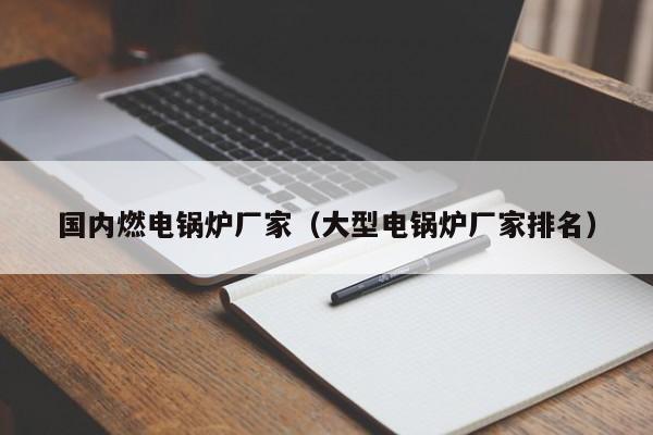 國(guó)內(nèi)燃電鍋爐廠家（大型電鍋爐廠家排名）